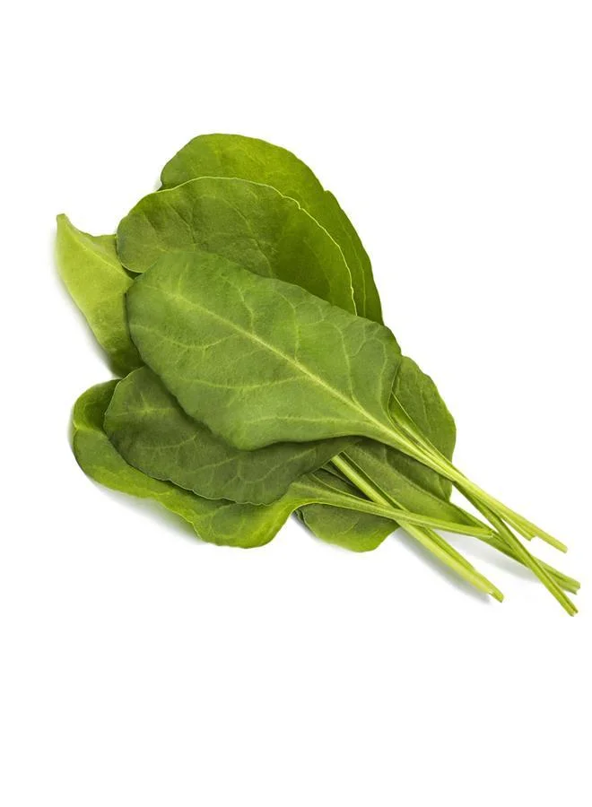 Click & Grow Click & Grow Seeds Green Chard