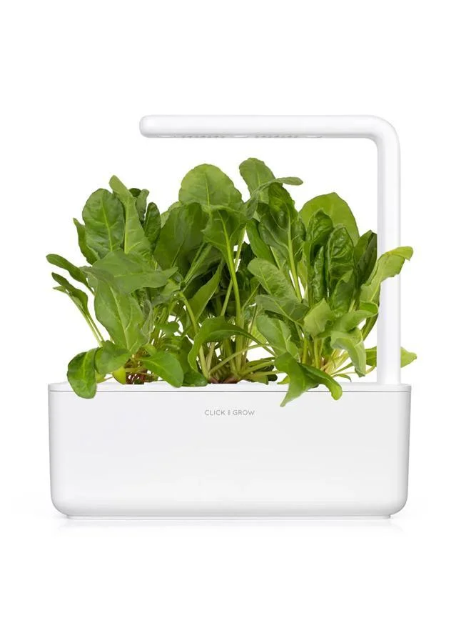 Click & Grow Click & Grow Seeds Green Chard