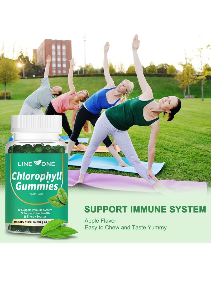 LINE ONE Chlorophyll Gummy With Ashwagandha,Potassium  Support Immune System Support Liver Health Energy Booster Dietary Supplement Apple Flavor 60 Gummies  - Image 4