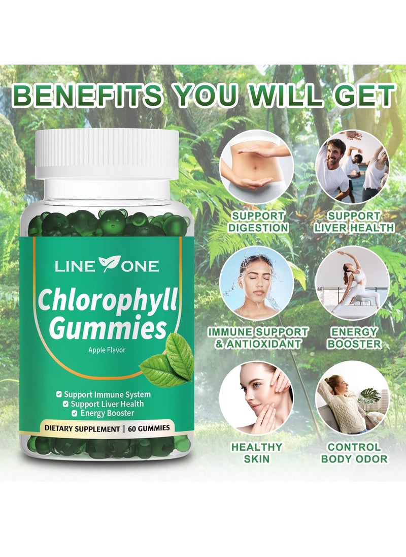 LINE ONE Chlorophyll Gummy With Ashwagandha,Potassium  Support Immune System Support Liver Health Energy Booster Dietary Supplement Apple Flavor 60 Gummies  - Image 3
