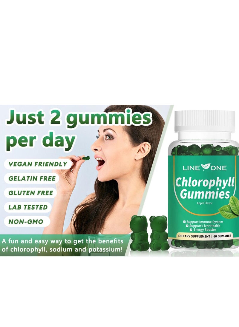 LINE ONE Chlorophyll Gummy With Ashwagandha,Potassium  Support Immune System Support Liver Health Energy Booster Dietary Supplement Apple Flavor 60 Gummies  - Image 5