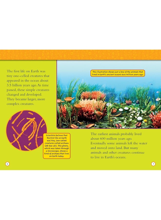National Geographic Kids Readers: Water  - Image 3