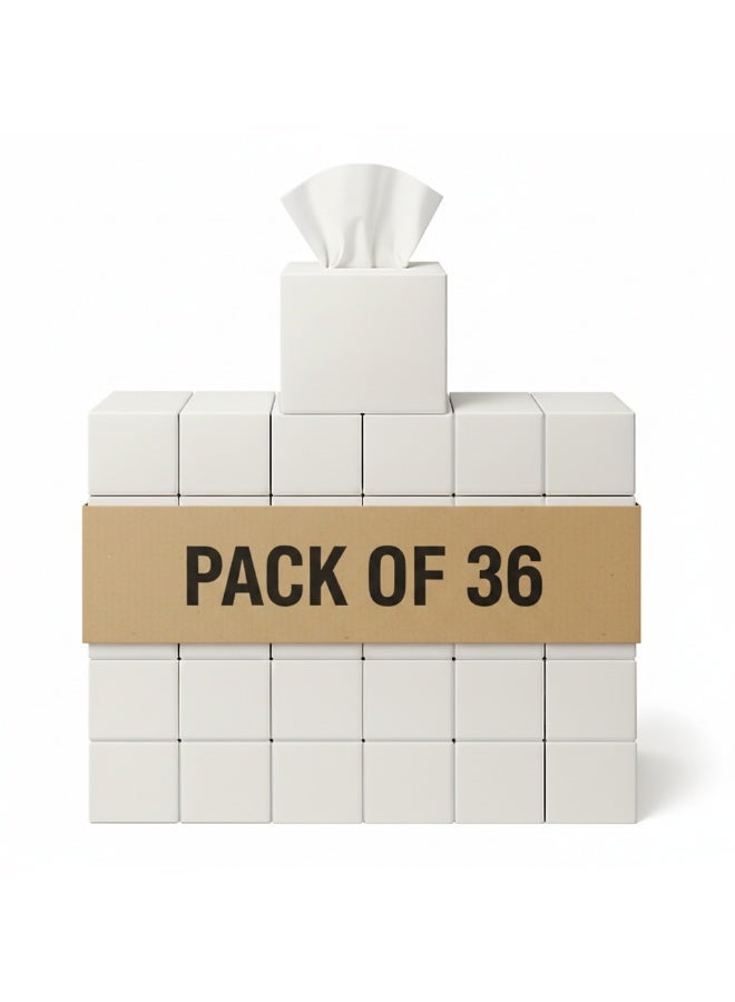 Ambiente Facial Tissue Cube 100 Sheet, Pack of 36 - Image 1