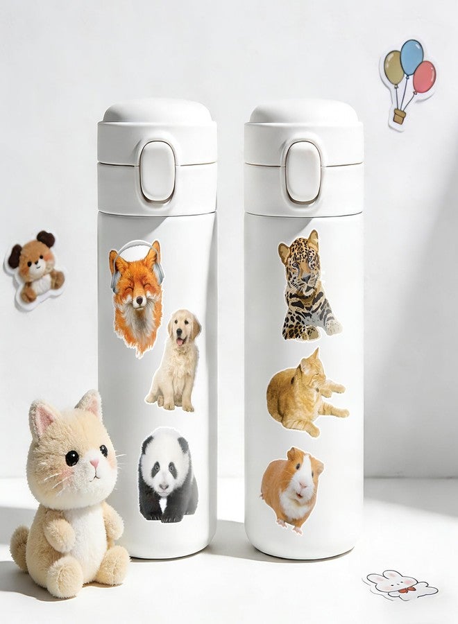 Alynta 300PCS Animal Stickers - Cute Water Bottle Stickers Waterproof Vinyl Funny Animal Sticker Reward Sticker for Classroom Laptop Notebook Luggage Scrapbook - Image 4