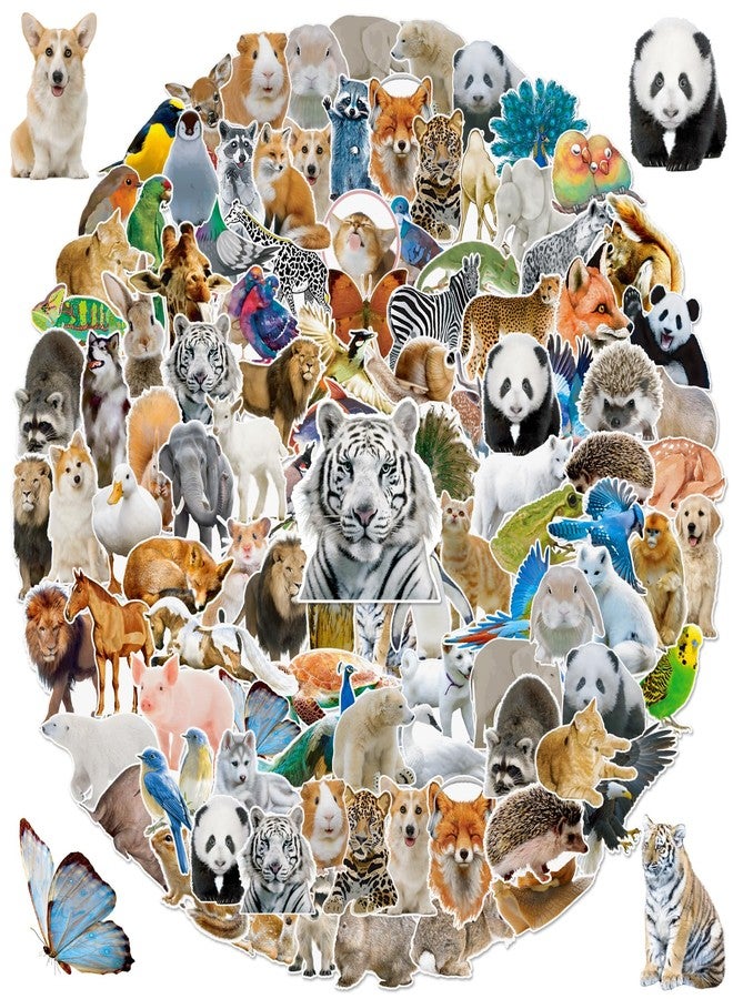 Alynta 300PCS Animal Stickers - Cute Water Bottle Stickers Waterproof Vinyl Funny Animal Sticker Reward Sticker for Classroom Laptop Notebook Luggage Scrapbook - Image 1