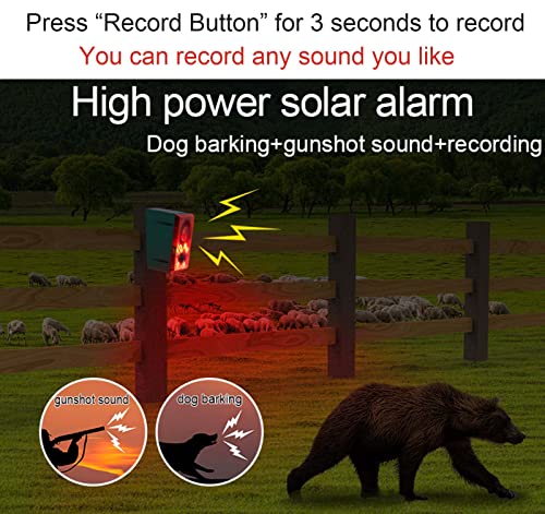 LAFEINA Solar Sound Strobe Light Alarm Motion Detector Gunshot Dog Barking Recording Record 20S Custom Message Siren Security Alert System for Farm Barn Villa 1 - Image 3