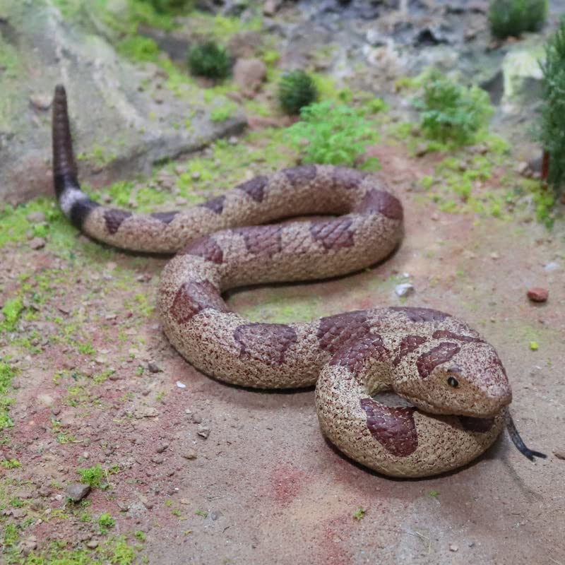 SIENON Realistic Fake Snakes Toy Soft Rubber Snake Figure Garden Scare Birds and Squirrels, Rattlesnake Toy Figurines Stress Relief Gag Toys Halloween Decoration Party Favors Prank Props - Image 5