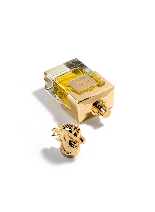 SHAIKH SAEED Mahiyar Unisex Arabic Perfume for Both Men and Women - Luxurious Fragrance with Citrus, Fruity, Sweet, Rose Absolute, Oud, Gurjum, Animalic, Suede, and Woody Notes - 100ml Bottle - Image 2