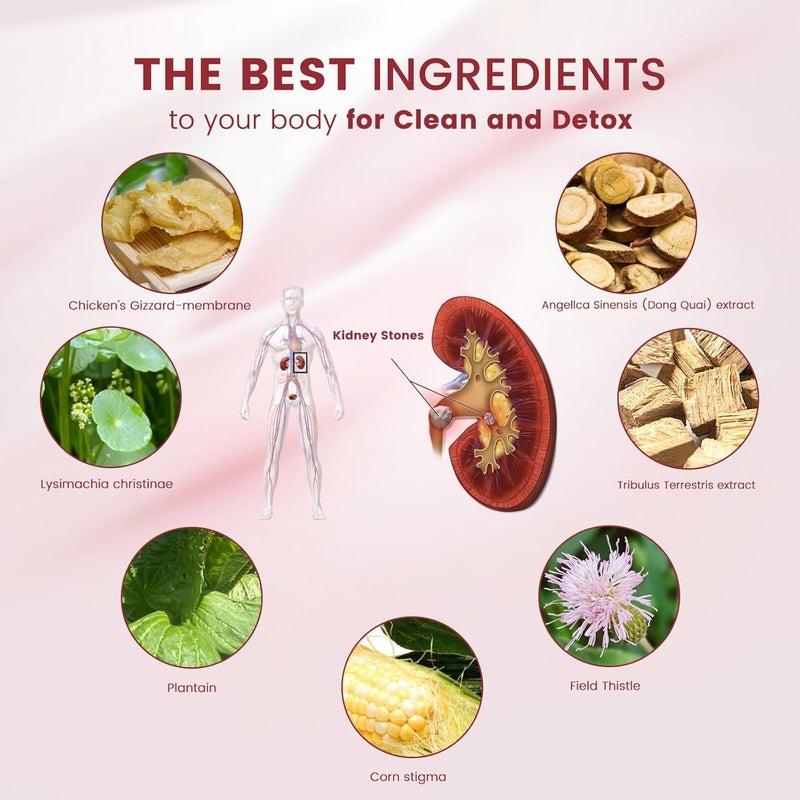 Wins Town أقراص تنظيف حصى الكلى دعم كسر الحصى تنظيف استعادة 60 قرص - Image 5