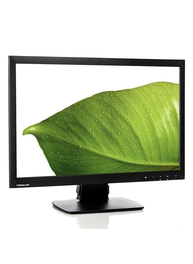 شاشة ProDisplay P221 مقاس 21.5 بوصة عالية الدقة بإضاءة خلفية LED ومنافذ VGA وDVI ودقة 1920 × 1080 وشاشة عريضة 16:9 ودرجة سطوع 250 شمعة/م² (مُجددة) - Image 1