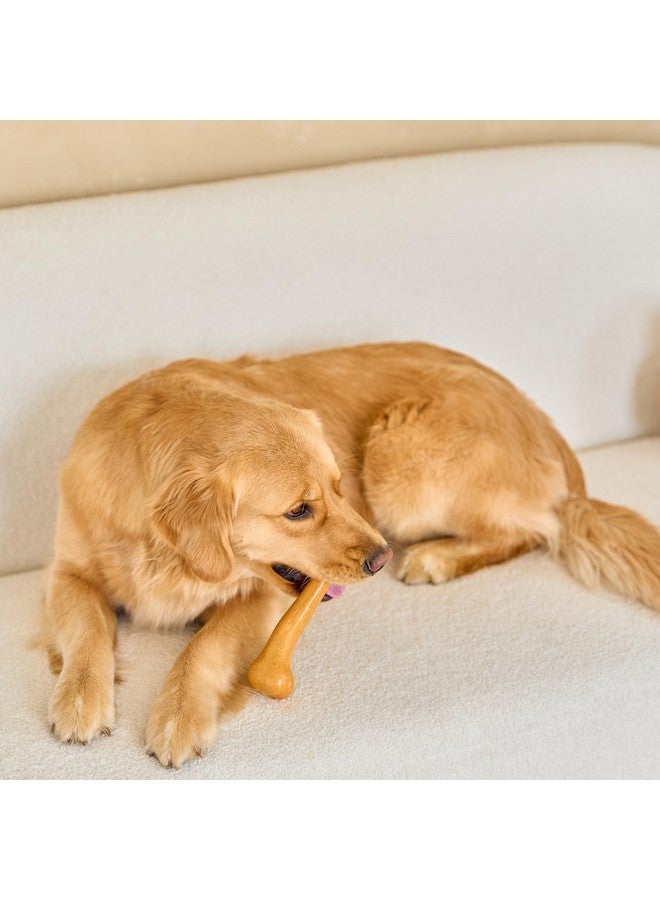 spot SPOT Bam-Bones Plus Dino Bone - Bamboo Fiber & Nylon, Durable Long Lasting Dog Chew for Aggressive Chewers - Great Toy for Dogs Under 90lbs, Non-Splintering, 7.25in Peanut Butter Flavor Allergen Free  - Image 5