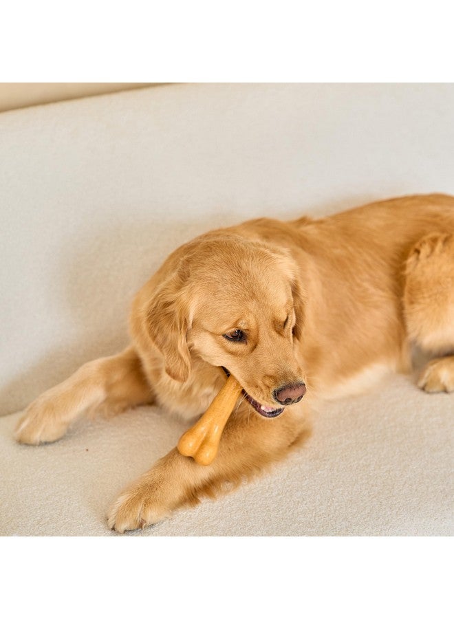 spot SPOT Bam-Bones Plus Dino Bone - Bamboo Fiber & Nylon, Durable Long Lasting Dog Chew for Aggressive Chewers - Great Toy for Dogs Under 90lbs, Non-Splintering, 7.25in Peanut Butter Flavor Allergen Free  - Image 3