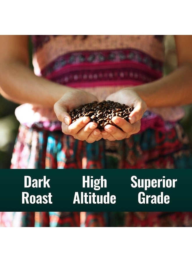 Natural Force - Organic Clean Coffee Dark, Mold & Mycotoxin Free, Lab Tested for Toxins & Purity, Low Acidity, Incredible Taste & Aroma, Founder's Select Whole Bean Dark Roast, 12 oz - Image 5