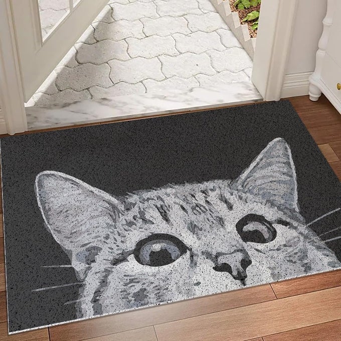 CAT DOOR MAT OUTDOOR ENTRANCE DURABLE WELCOME MAT MUD ABSORBENT DOORMAT INDOOR OUTDOOR LOWPROFILE FLOOR MATS FRONT DOOR MAT FOR ENTRY PATIO HIGH TRAFFIC AREAS17X29