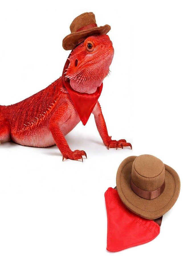 Molain Bearded Dragon Clothes, Lizard Cowboy Hat Bandana Costume Set Bearded Dragon Clothing Outfit for Cosplay Photo Costume Props Fits Gecko Chameleon Ferret - Image 1