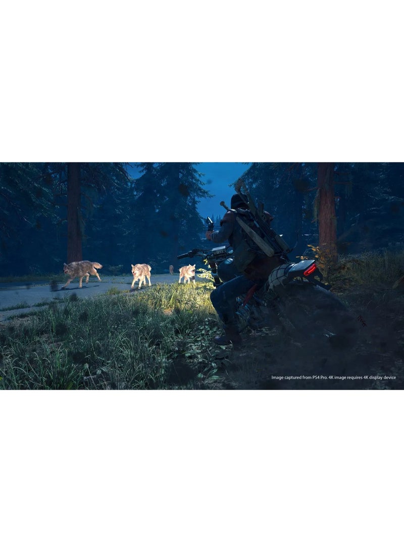 سوني إنترآكتيف إنترتيمنت Days Gone إصدار PS4 - لعبة مغامرات وبقاء في عالم مفتوح - playstation_4_ps4 - Image 3