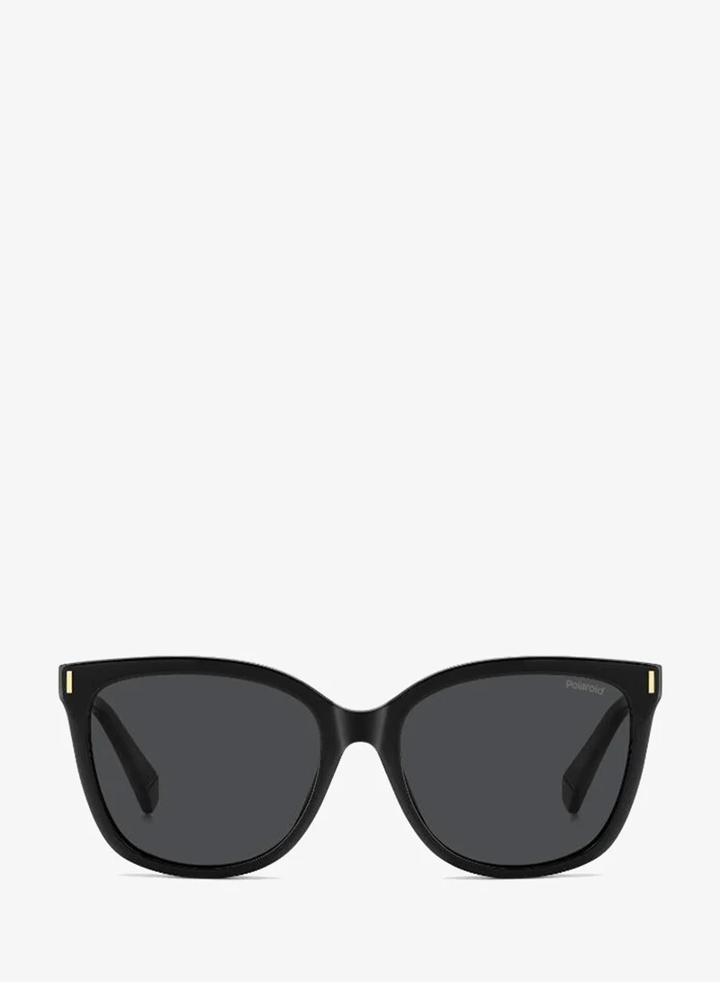 Polaroid Wayfarers Sunglasses