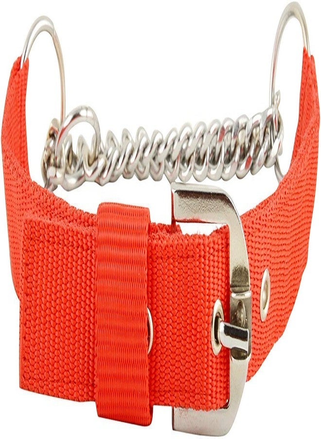 MS Petcare Dog Choke Pet Nylon Half Chain Collar Half Choker Stainless Steel Dogs Collars Width - 1.25 Inch, Neck Size 22" to 28" Inch for Large & Giant Breed Dogs - Red Color - Image 2