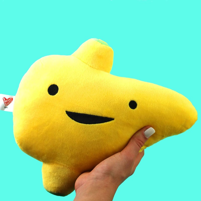 I Heart Guts Liver Plush  Im a Liver Not a Fighter  11 Educational Organ Stuffed Animals  Cancer Awareness ProductsAnatomy Gifts Transplant Recovery Cirrhosis Cancer Support - Image 3