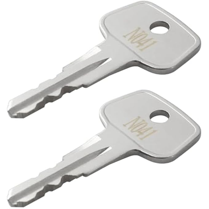 rayihni N041 Thule Car Rack Replacement Key, Thule Roof Rack Replacement Key, Replacement Keys for Thule Ski, Roof, Cargo Box, Carrier Racks and Crossbars [Code N041] - Image 1