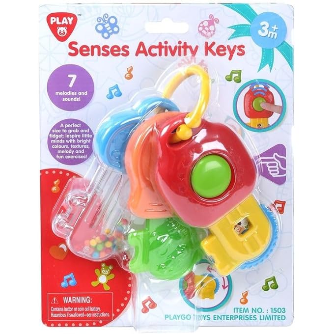 SENSES ACTIVITY KEYS - Image 2