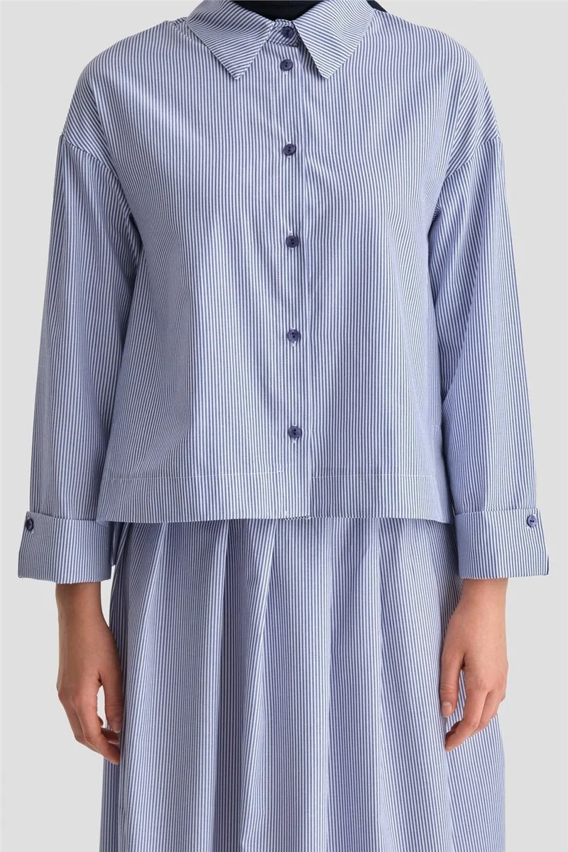ARMINE Pleated Skirt Striped Suit 24K6851 Indigo