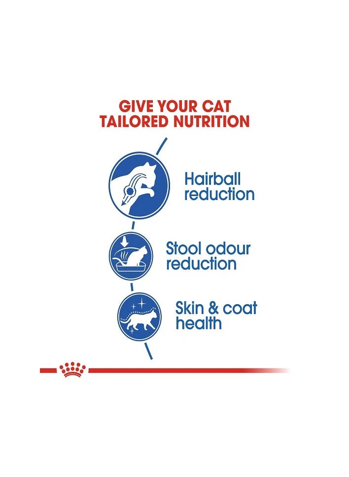 رويال كانين طعام رويال كانين هوم لايف الجاف للقطط ذات الشعر الطويل داخل المنزل، 2 كجم - Image 4