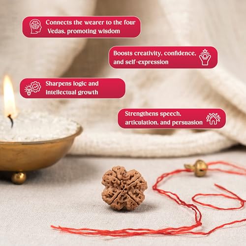 GEMSMANTRA 4 Mukhi Rudraksha Without Silver Pendant, Original Nepali, Regular Size, Natural and Lab Certified, Helps to Improve Wisdom and Spiritual Growth for Men & Women - Image 4