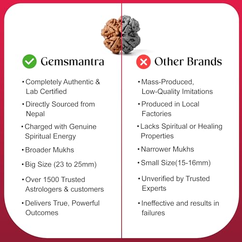 GEMSMANTRA 4 Mukhi Rudraksha Without Silver Pendant, Original Nepali, Regular Size, Natural and Lab Certified, Helps to Improve Wisdom and Spiritual Growth for Men & Women - Image 5