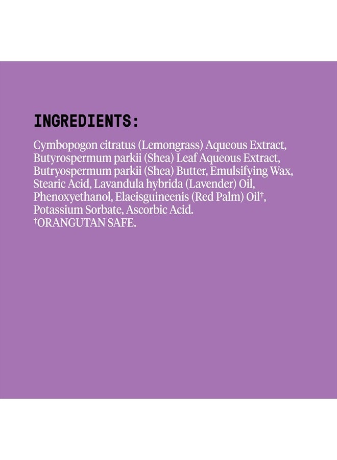 Alaffia EveryDay Shea Body Lotion - Normal to Very Dry Skin, Moisturizing Support for Hydrated, Soft, and Supple Skin with Shea Butter and Lemongrass, Fair Trade, Lavender, 32 Fl Oz - Image 2