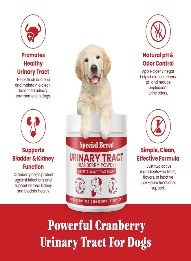 Special Breed Cranberry for Dogs - 480 Scoops UTI Treatment Powder - Urinary Tract Health Supplement - Bladder Support, Dog UTI, Bladder Stones, Incontinence Support - Image 3