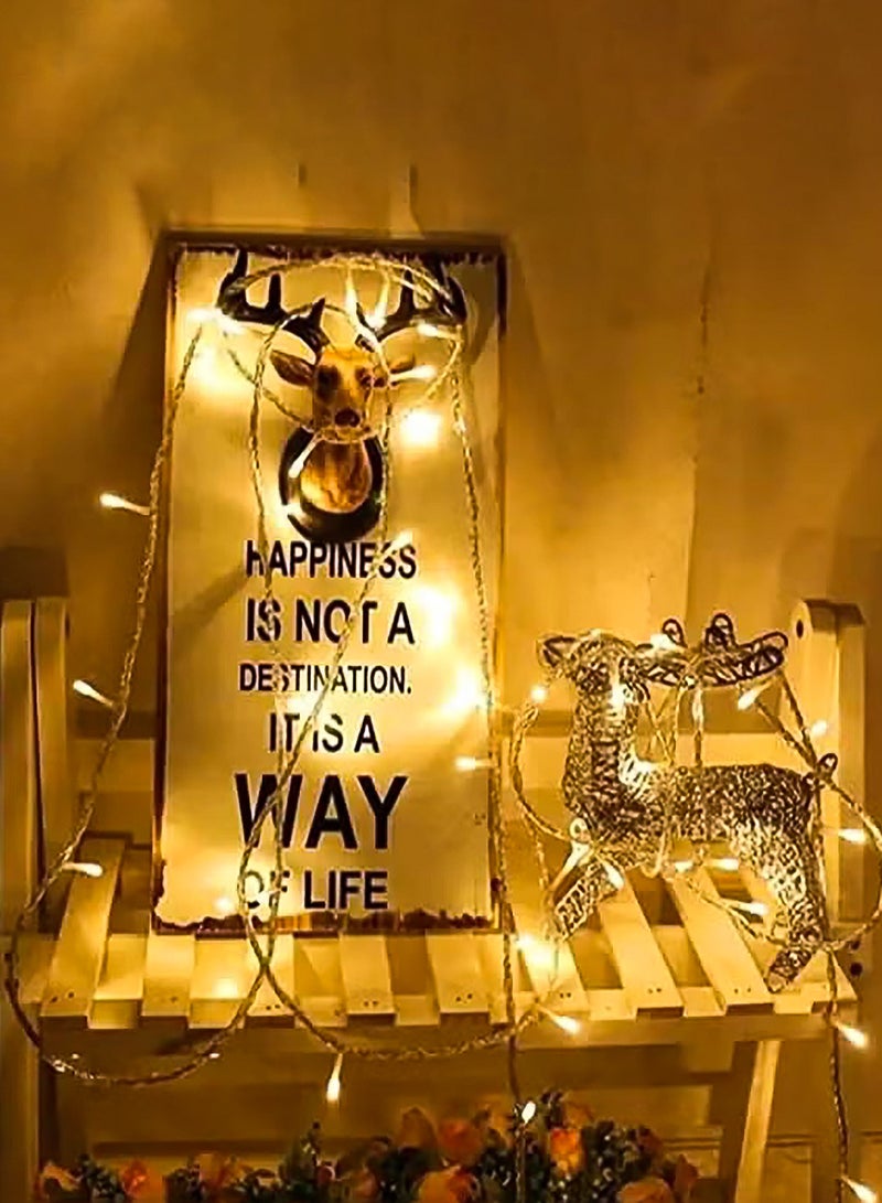 NextWave 50M LED String Lights Reel for Indoor Outdoor Use Festive Lights Plug in Twinkle Lights for Trees Room Bedroom Wedding Birthday Eid Ramadan Diwali New Year Warm White Clear Wire Balcony Room Home Decor Essentials Golden - Image 2