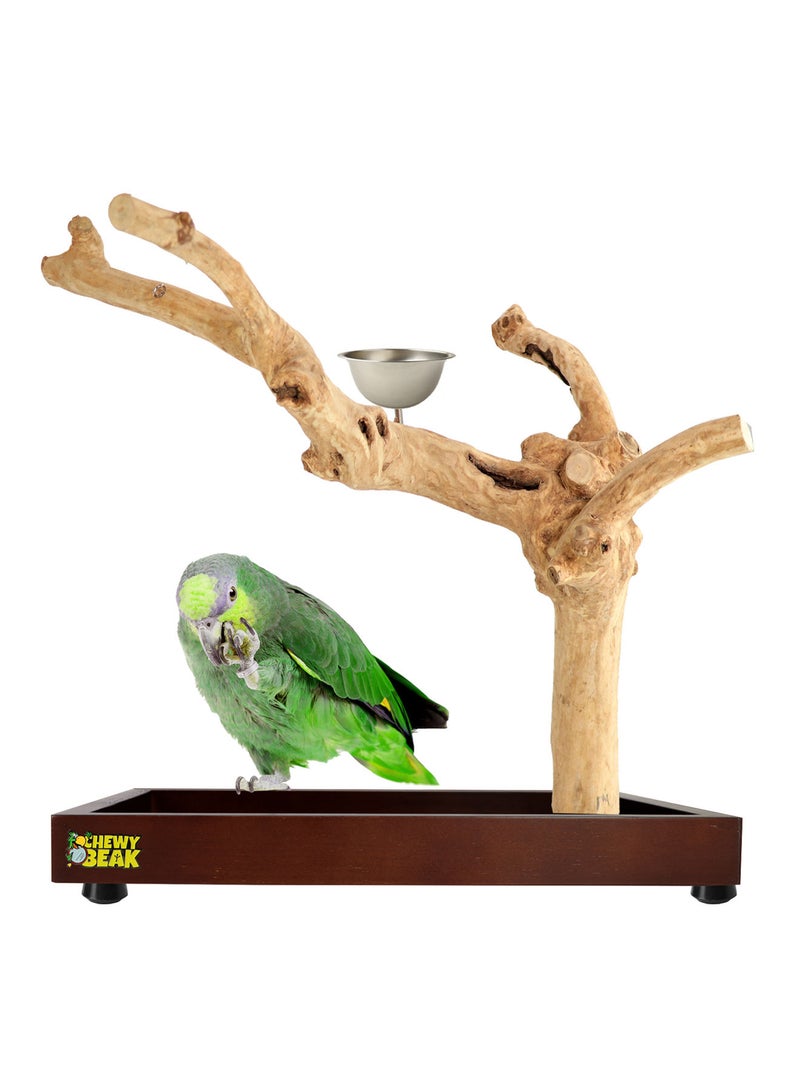 CHEWY BEAK Bird Stand Table Top Natural wooden Parrot Play Stand Indonesian Java wood Tree Perches with Stainless steel feeder medium size - Image 1