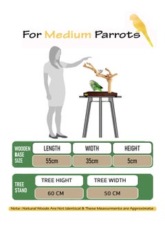 CHEWY BEAK Bird Stand Table Top Natural wooden Parrot Play Stand Indonesian Java wood Tree Perches with Stainless steel feeder medium size  - Image 2