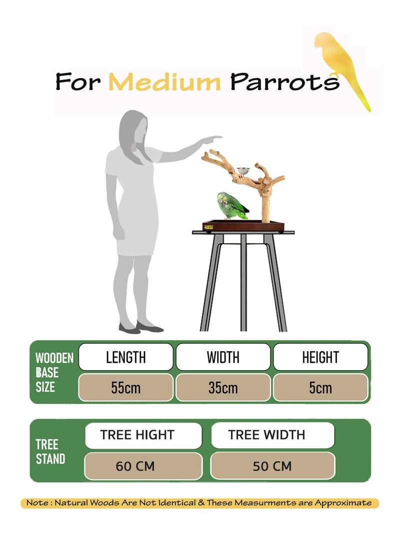 CHEWY BEAK Bird Stand Table Top Natural wooden Parrot Play Stand Indonesian Java wood Tree Perches with Stainless steel feeder medium size - Image 2