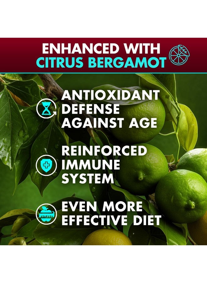 SECRET ELEMENT Berberine HCL Supplement 1500 mg, High Potency Vegan Capsules with Beet Root, Citrus Bergamot & Black Currant, Non-GMO, 180 Capsules - Image 3