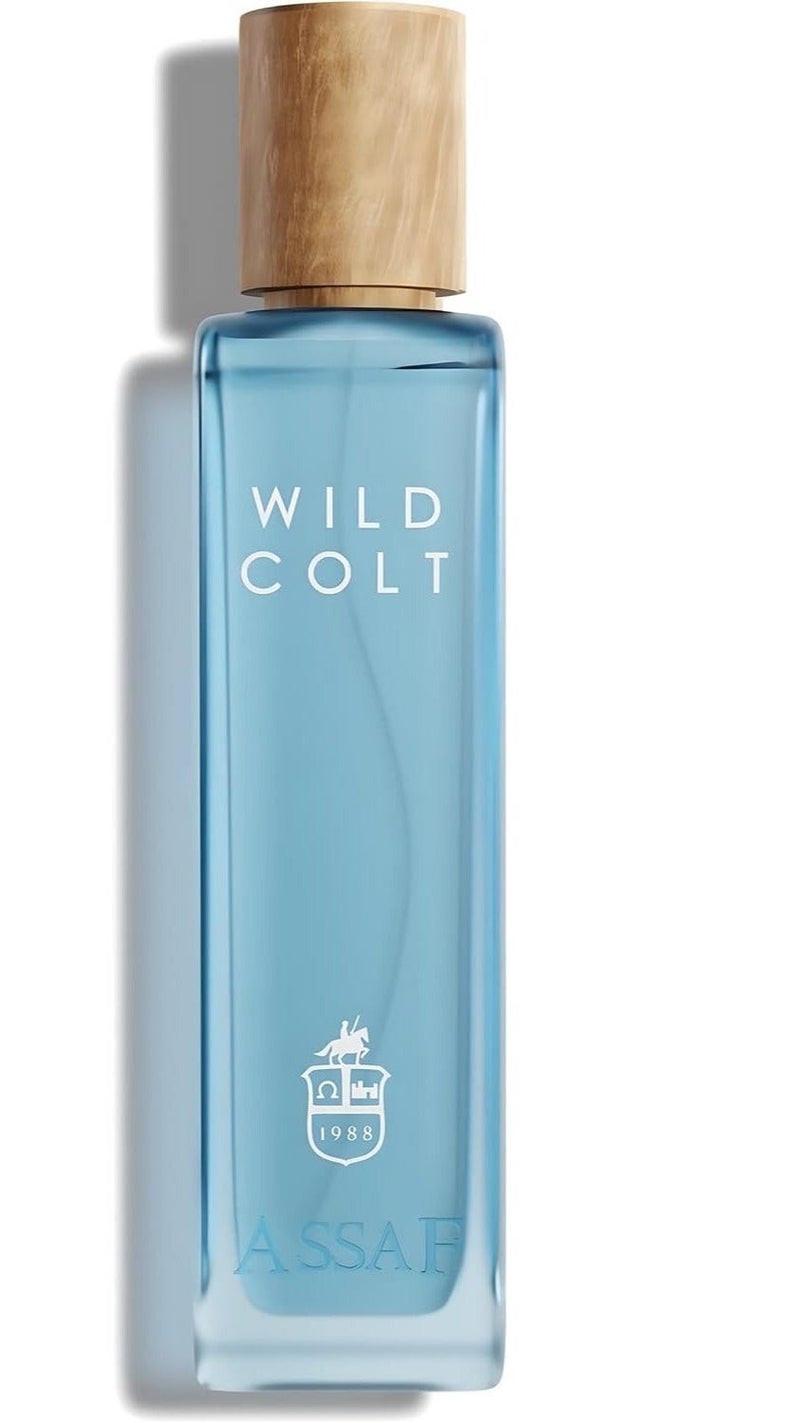 عساف عطر أساف وايلد كولت 200 مل أو دو بارفان - عطر عود وجلد قوي يدوم طويلاً | عطر عربي فاخر للرجال والنساء | رائحة خشبية دخانية جريئة - Image 4