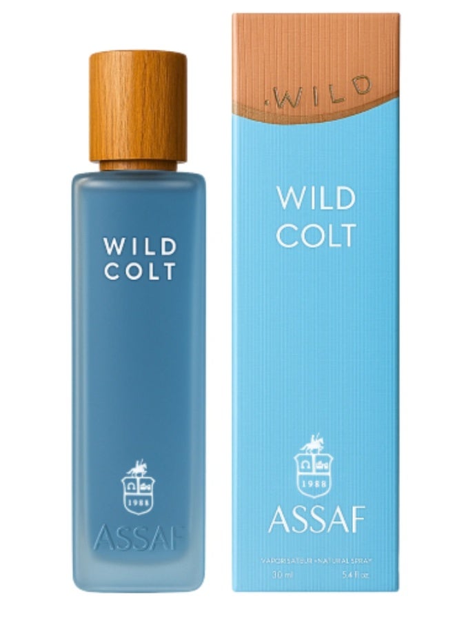 عساف عطر أساف وايلد كولت 200 مل أو دو بارفان - عطر عود وجلد قوي يدوم طويلاً | عطر عربي فاخر للرجال والنساء | رائحة خشبية دخانية جريئة - Image 2