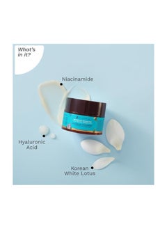 PILGRIM Korean Oil free Gel Moisturizer for oily skin with Hyaluronic Acid And Willow Bark Extracts  Moisturiser for face  Suitable for Oily And Acne-Prone Skin Men And Women  Korean Skin Care  50gm  - Image 3