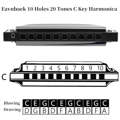 Eavnbaek 10 Holes 20 Tones Blues Harp Mouth Organ Harmonica, Diatonic Blues Harmonica Key of C, For Adults Student Beginners Professionals, with Hard Case and Cleaning Cloth (Blue) - Image 4