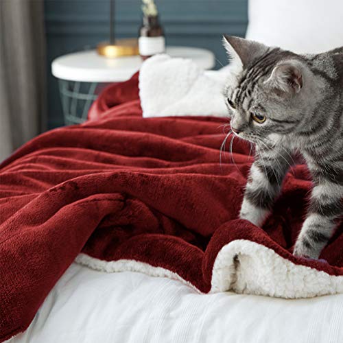 LBRO2M Sherpa Fleece Bed Blanket King Size Super Soft Fuzzy Plush Warm Cozy Fluffy Microfiber Couch Throw Velvet Double Reversible Blankets,Red - Image 5