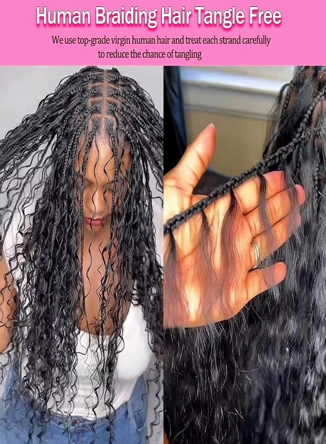 FDX Human Braiding Hair for Boho Braids 16 Inch Deep Wave Bulk Human Hair for Braiding 2 Bundles Bohemian Boho Hair for Braiding 100% Brazilian Curly Wet and Wavy Human Braiding Hair 1B Black - Image 3