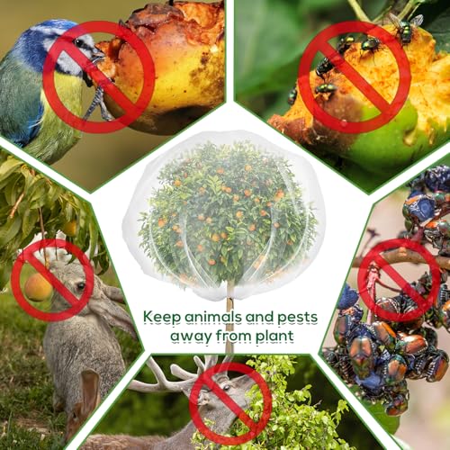 ZYP Fruit Tree Netting with Drawstring, 7 x 6ft Ultra-Fine Mesh Garden Insect & Bird Protection Cover, Breathable Reusable Tree Netting for Citrus, Apple, Peach & Shrubs - Image 4