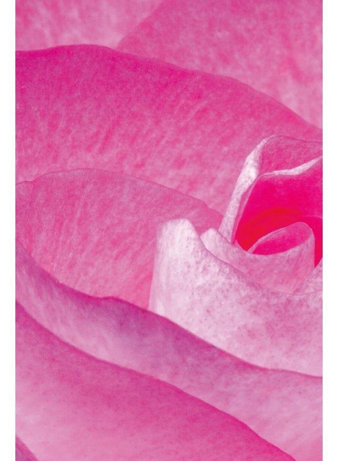 Journal  - Image 2