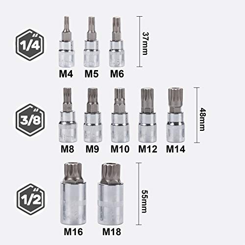 Qnkaa Spline Socket Bit Set 10pcs Square Triple Silver M4 - M18 - Image 4