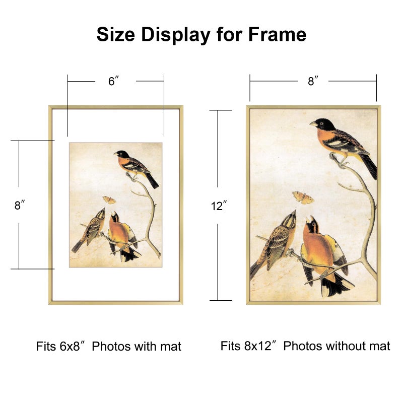 BKABOT 8x12 Picture Frame, Brass Metal Photo Frames with HD Glass, Fits 6x8 with Mat or 8 x 12 without Mat, Display for Wall and Table, 1 Pack - Image 2
