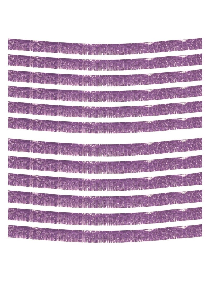 Anna 30*200cm Birthday Party Backdrop Decorations - Shiny Streamer Tassel Curtains Banner Set (12 Pieces) - Image 1