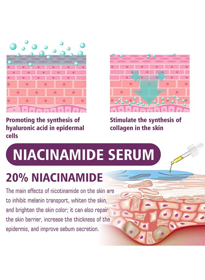 EELHOE Niacinamide 20% Serum -  Face Pigment Dark Spot Remover Face Serum, Anti Aging Fragrance Free Face Essence For For Discoloration And Minimizing Large Pores 20ml - Image 2