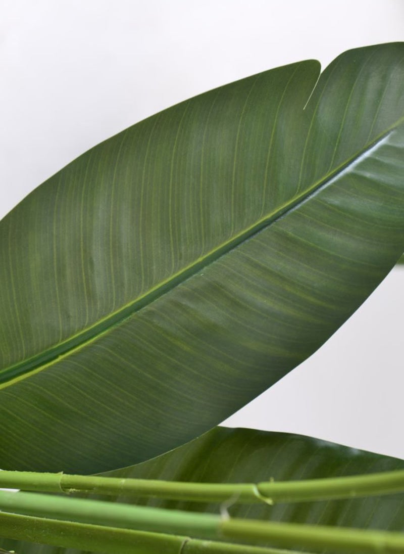 Sharpdo - Sharpdo Artificial Trees, Indoor Decorative Artificial Plants with Faux Tropical Leaf, Traveler Banana with Base 160cm - Image 1