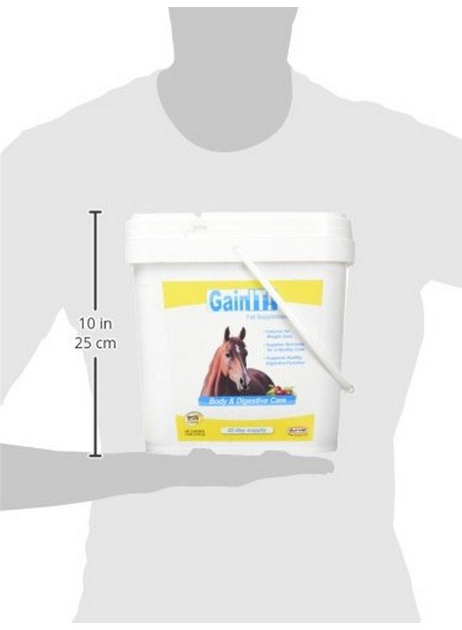 دورفيت مكمل غذائي Durvet Gain It Fat للعناية بالجسم والجهاز الهضمي للخيول، عبوة 8 رطل - Image 2